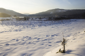 snowy view and snow trails Bolu Turkey