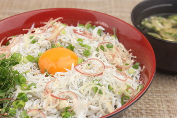シラス丼