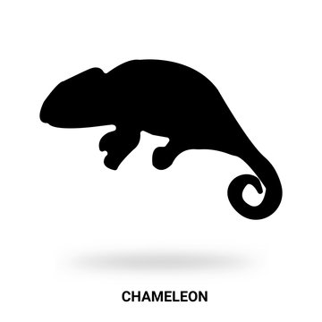 Chameleon Silhouette Isolated On White Background