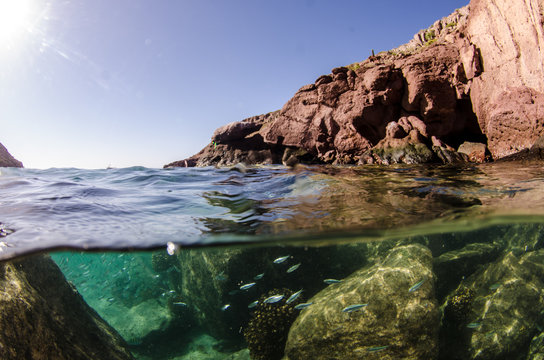 Fototapeta Coral reef scenics of the Sea of Cortez, Baja California Sur, Mexico. 