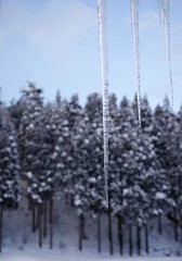 冬の景色とつらら