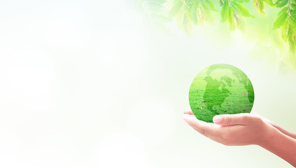World environment day concept: Human hands holding earth of grass over blurred nature background