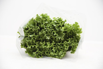 Green lettuce in a plastic package