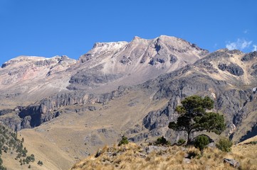 Fototapeta na wymiar Iztaccihuatl volcano seen from Izta-Popo Zoquiapan National Park, Mexico with several small pines on the foreground