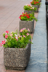 Stone flowerpots for flowers in a city park on a marble path