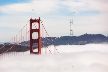 San Francisco Golden Gate Bridge in Thick Fog - obrazy, fototapety, plakaty