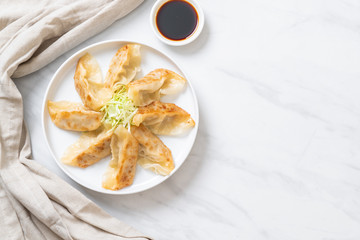 Japanese gyoza or dumplings snack
