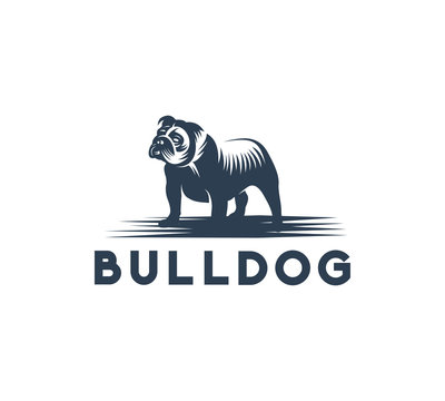 bulldog icon, logo concept, vector illustration
