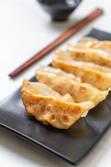 Japanese gyoza or dumplings snack