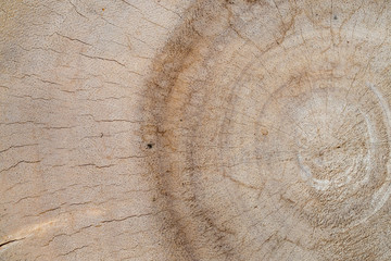Brown wooden background and texture.