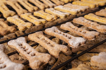 Homemade oatmeal dog treats with carrots