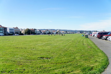 Naklejka premium Green field, park in San Fransisco.