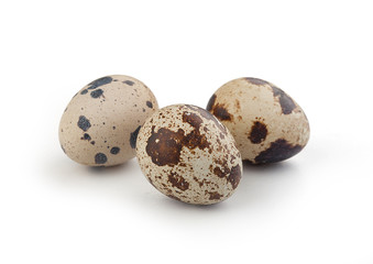 Obraz premium Quail eggs