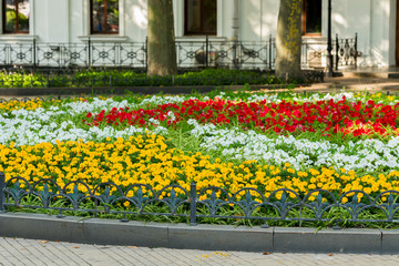 Decorative flowerbeds with flowers and bushes in the city's landscape park