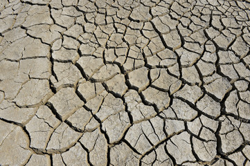 The parched soil