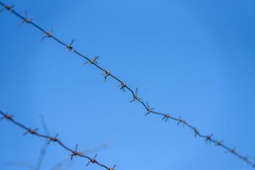 Fototapeta na wymiar lines of barbed wire on the background of blue sky
