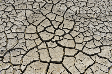 The parched soil