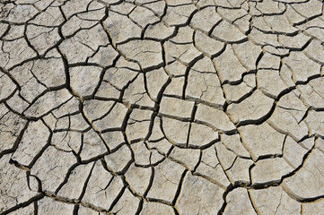 The parched soil
