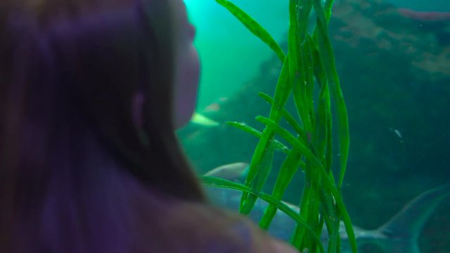 Steadycam shot of a Young woman walk inside of an aquarium pipe looking at fishes