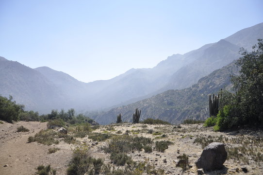 el serro