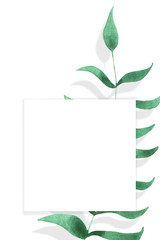 A square frame and watercolor-drawn green leaves on a white background. Isolated and space for your text.