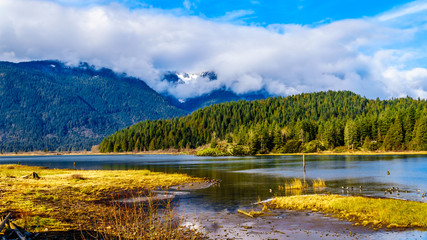 Fototapeta premium Pitt Lake with the Snow Capped Peaks of the Golden Ears, Tingle Peak and other Mountain Peaks of the surrounding Coast Mountain Range in the Fraser Valley of British Columbia, Canada