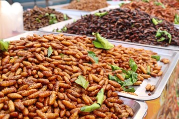 Fried Insect at street food
