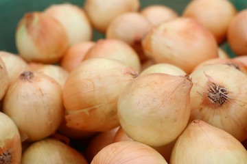 Onion at the market