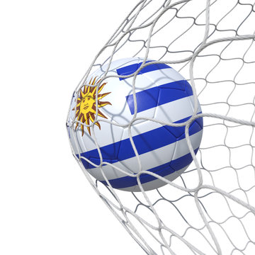 Uruguay Uruguayan flag soccer ball inside the net, in a net.