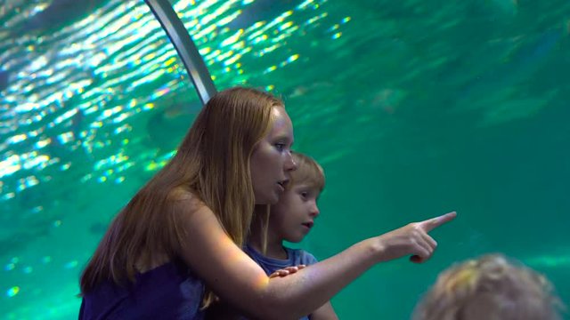 Family visits an oceanarium. Woman and her son walking inside of an aquarium pipe looking at fishes