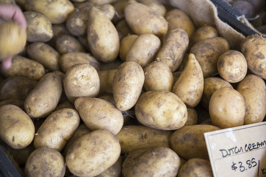 Fresh potates in a farmers market