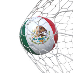 Mexico Mexican flag soccer ball inside the net, in a net.