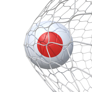 Japan Japanese flag soccer ball inside the net, in a net.