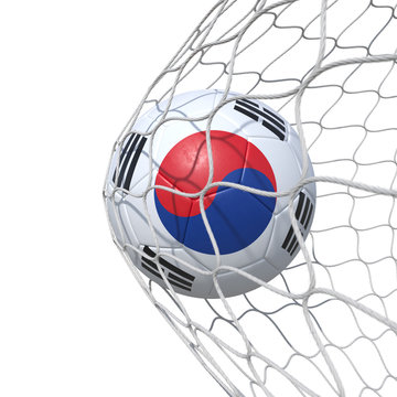 South Korea South Korean flag soccer ball inside the net, in a net.