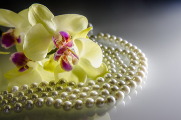 pearl and yellow orchid on a white glass 