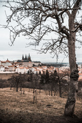 Winter landscape of the Prague hills