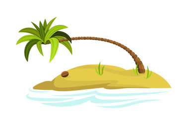 Illustration of a palm tree on an island. Decorative palm tree isolated on white background. Vector. Icon.