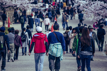 Obraz premium 旅行者