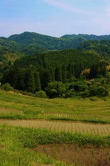 千葉県鴨川市・大山千枚田