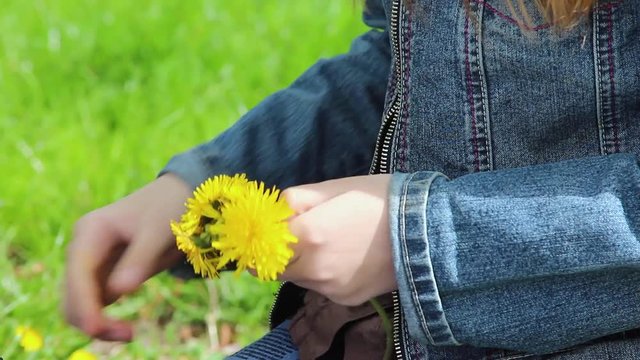 Closeup view of hands of young girl trying to make yellow dandelion wreath of fresh flowers outdoor sitting on bench in green sunny spring park.
