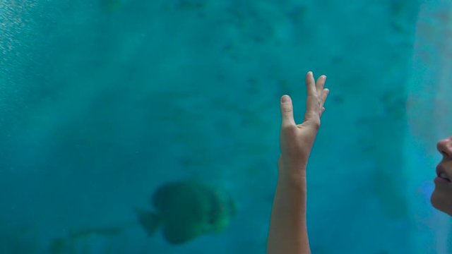 Closeup shot of a hand of a woman walking insiade of an oceanarium pipe touching the glass