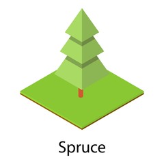 Spruce tree icon. Isometric illustration of spruce tree vector icon for web