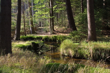 Narrow water stream outside fenced yard.