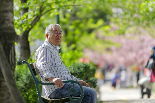 公園のベンチに座っているシニア男性