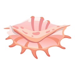 Exotic shell icon. Cartoon illustration of exotic shell vector icon for web