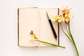 Colorful spring flowers, with blank open diary for text, on white background.