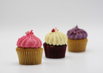 Cupcakes on a white background