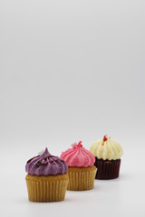 Cupcakes on a white background