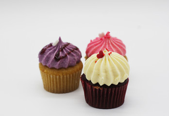 Cupcakes on a white background