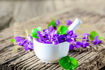 Produkte aus Veilchen - Viola; Duftveilchen; Blüten; Kräuter; Naturheilkunde; Medizin; Homöopathie; 